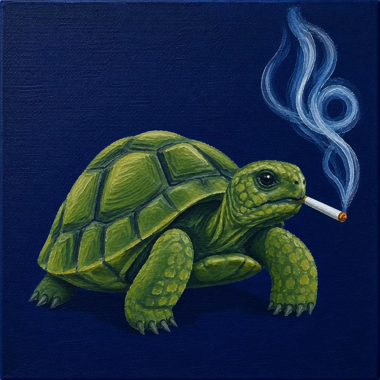 Red-spotted tortoise smoking a cigarette